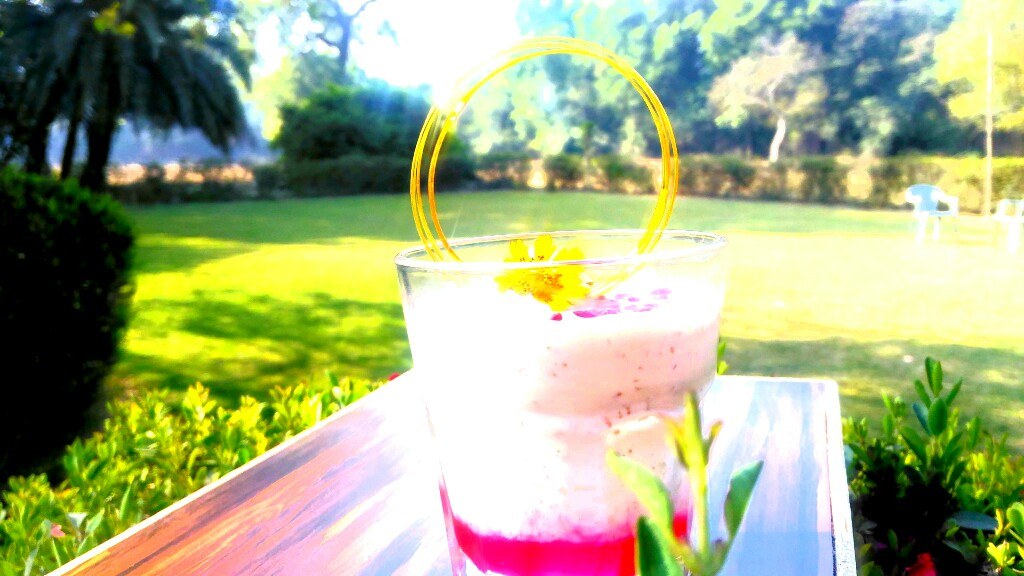 Red wine kheer